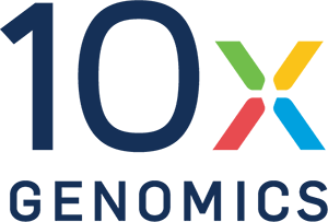 logo 10x